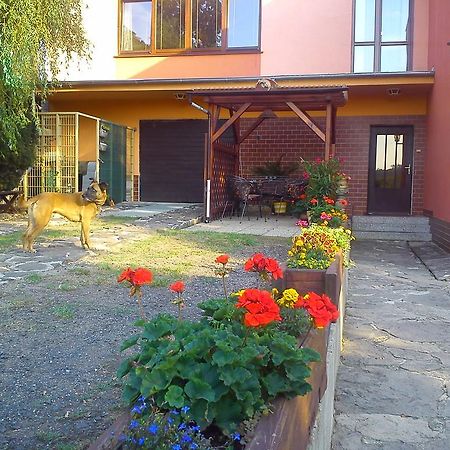 Apartments Ceske Stredohori Teplice Room photo